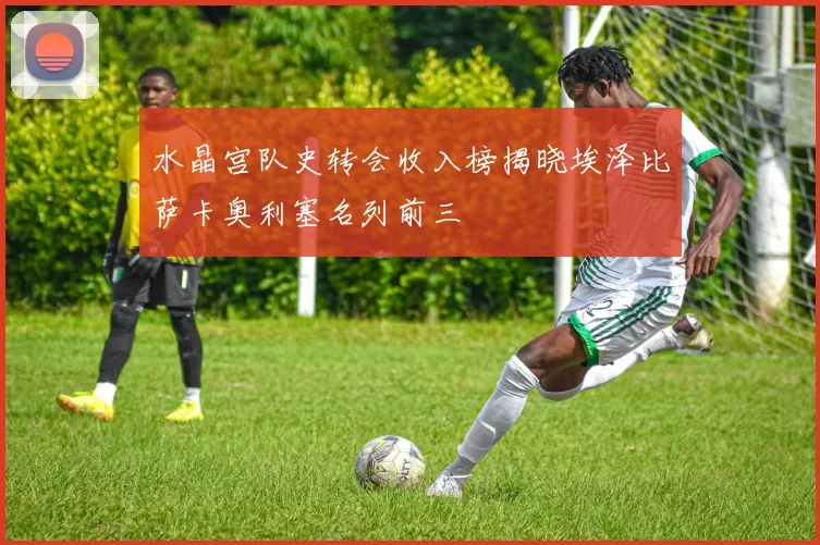 水晶宫队史转会收入榜揭晓埃泽比萨卡奥利塞名列前三
