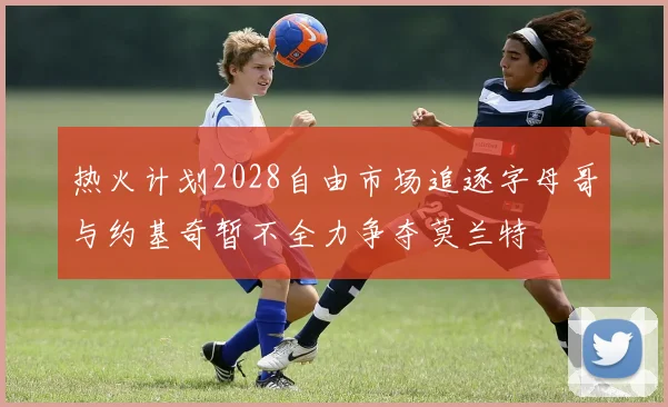 热火计划2028自由市场追逐字母哥与约基奇暂不全力争夺莫兰特