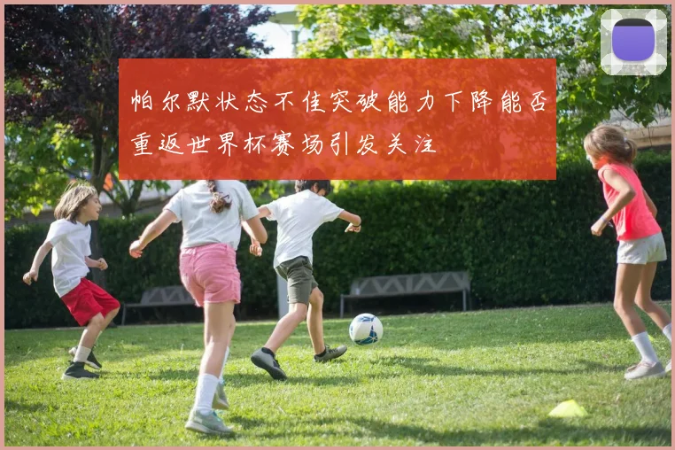 帕尔默状态不佳突破能力下降能否重返世界杯赛场引发关注